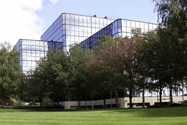 Commercial Tree Trimming in Kenosha